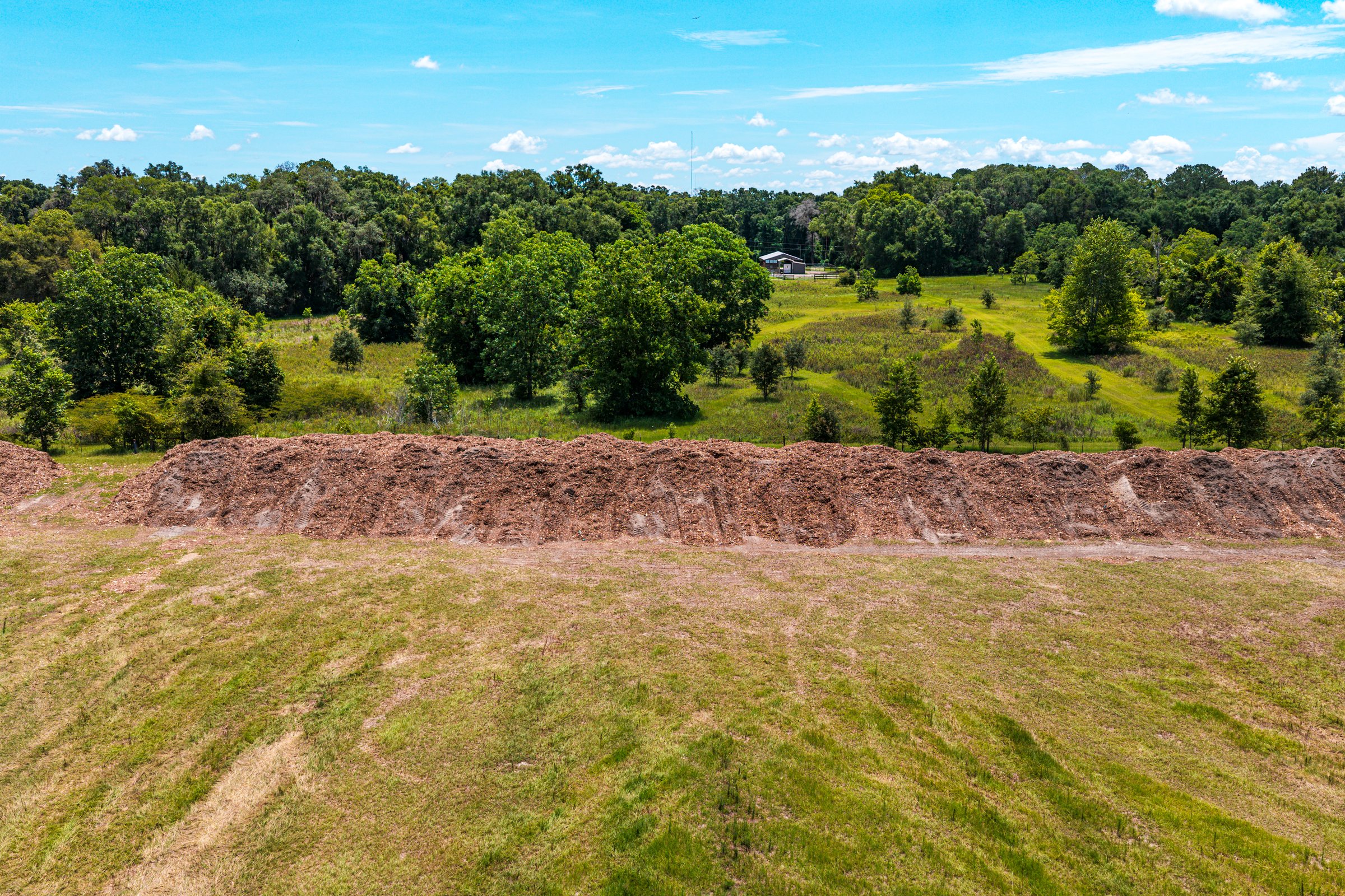 Perimeter documentation — adjacent parcels and tree line