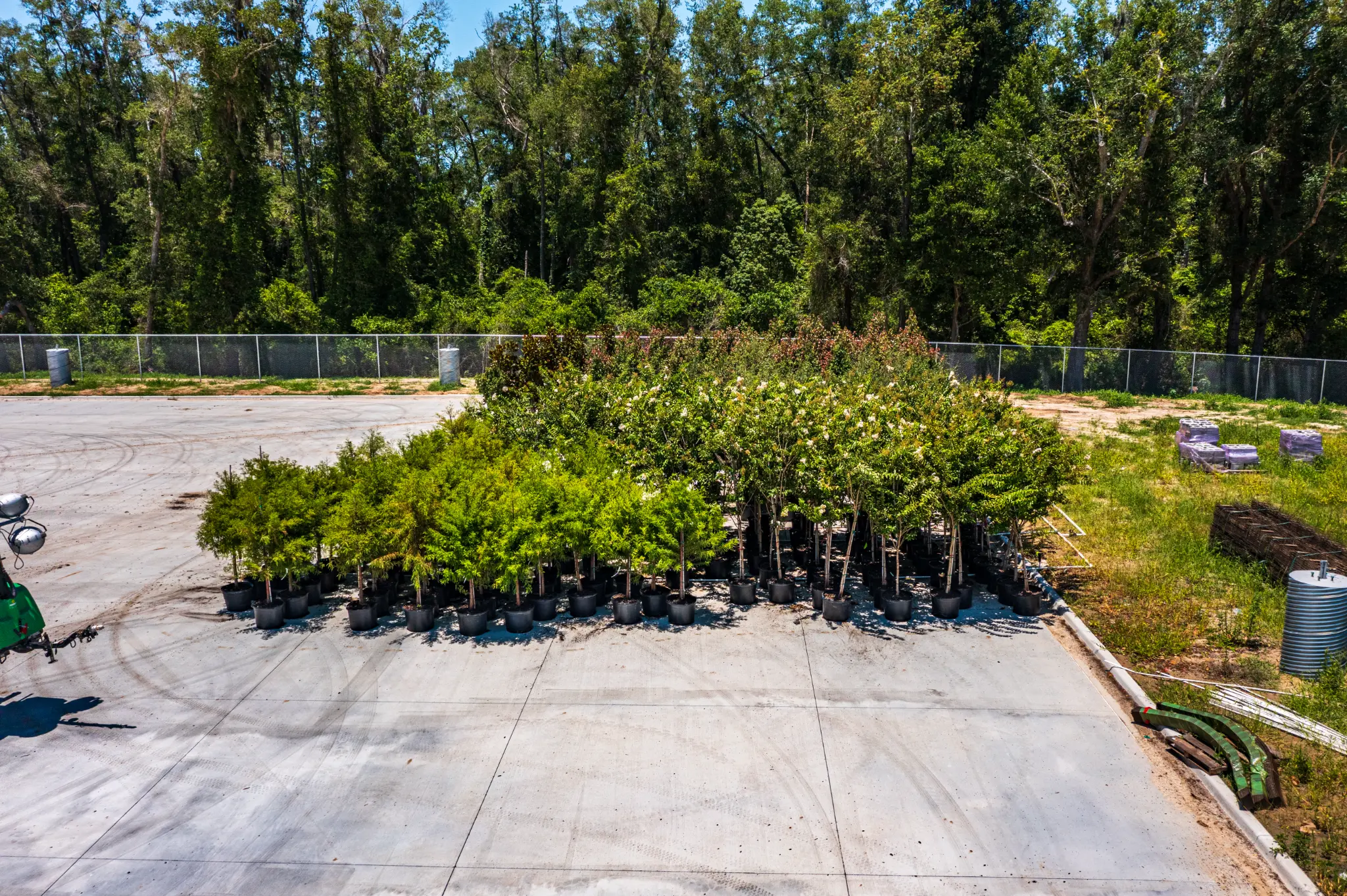 Rows of nursery trees staged on concrete at the Ben E. Keith Foods campus perimeter ahead of landscaping installation, Alachua FL — Visit 66